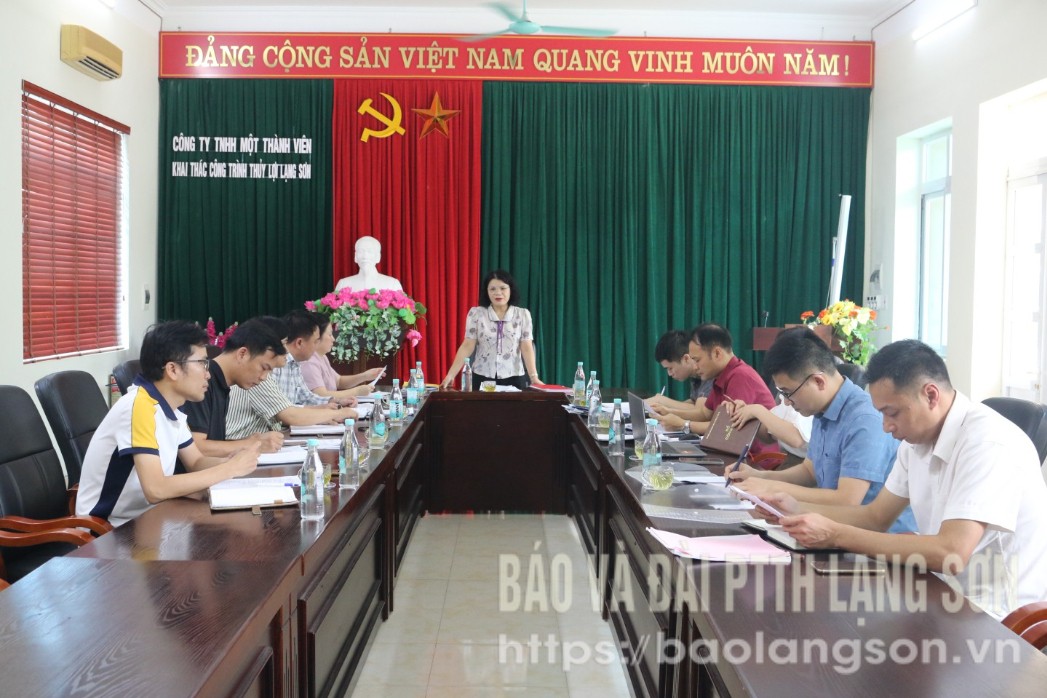Các đại biểu tham dự buổi làm việc