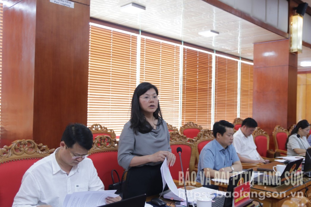 Lãnh đạo UBND huyện Bắc Sơn đóng góp ý kiến tại phiên họp