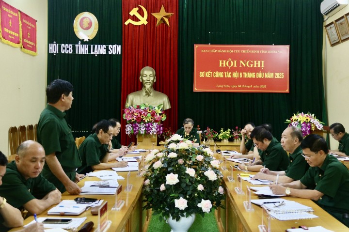 Các đại biểu tham dự hội nghị