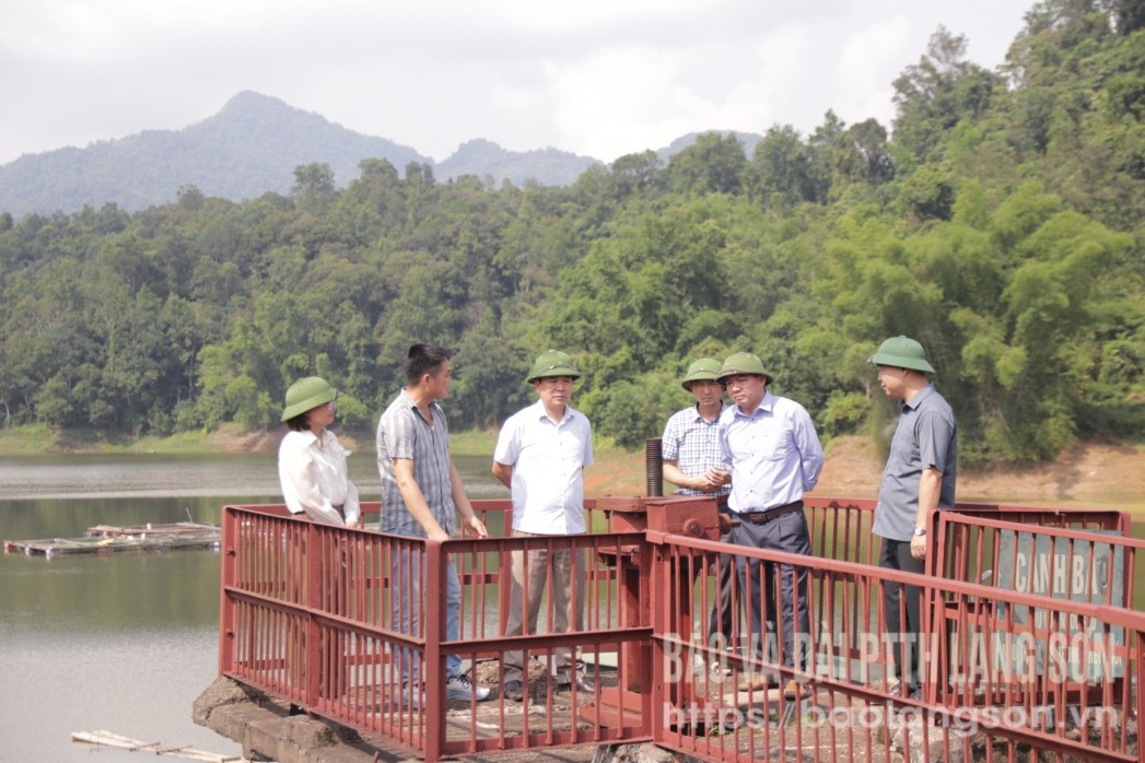 Đoàn công tác kiểm tra thực tế công trình hồ chứa trên địa bàn thị trấn Thất Khê, huyện Tràng Định