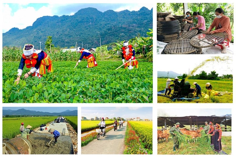 Tổng kết Chương trình mục tiêu quốc gia xây dựng nông thôn mới giai đoạn 2021 - 2025.