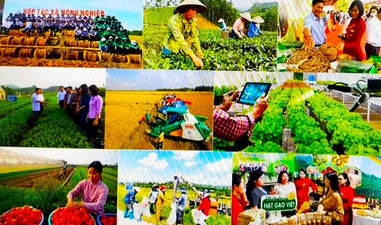 Quỹ hỗ trợ hội viên Hội Nông dân xây dựng, nhân rộng mô hình sản xuất, kinh doanh có hiệu quả, góp phần tăng thu nhập, nâng cao đời sống cho nông dân