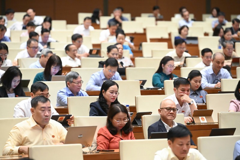 Các đại biểu tại phiên họp.