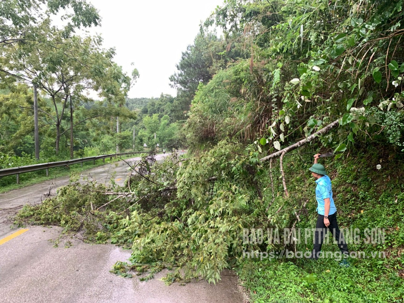 Công nhân Công ty Cổ phần quản lý và xây dựng giao thông Lạng Sơn xử lý cây đổ tại Km 39 quốc lộ 1B, ngày 2/6/2025