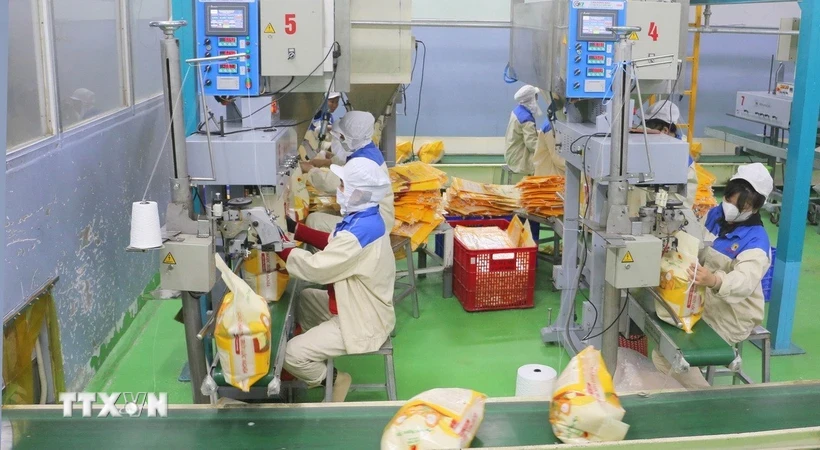 Đóng gói gạo xuất khẩu tại nhà máy của Công ty Lương thực Thạo Sơn. (Ảnh: Công Mạo/TTXVN)