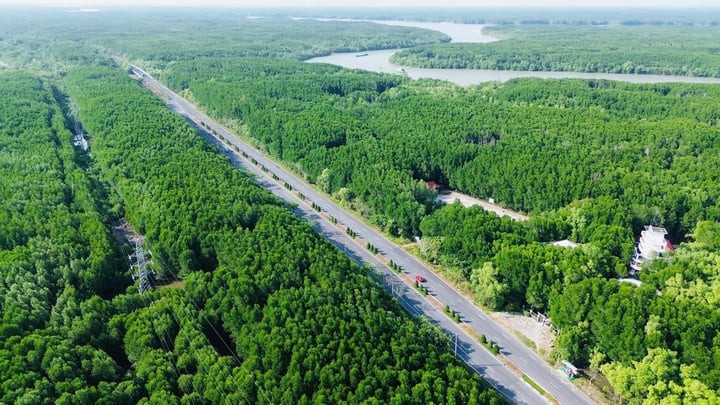 Giữ màu xanh cho môi trường, cho tương lai đang là nhiệm vụ cấp thiết đòi hỏi cả cộng đồng chung ta. (Ảnh minh họa)