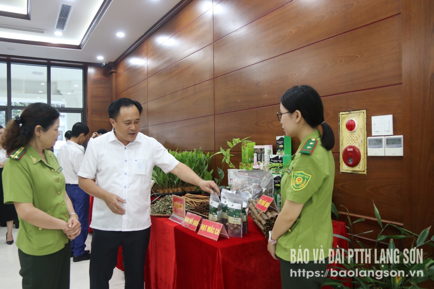 Các đại biểu tham quan khu vực trưng bày các sản phẩm lâm nghiệp tại hội nghị