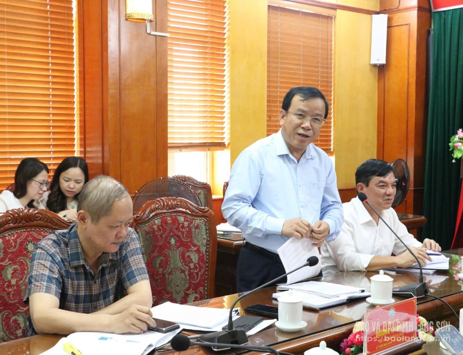 Lãnh đạo Sở Tài chính trình bày tờ trình của UBND tỉnh và dự thảo Nghị quyết của HĐND tỉnh về quyết toán thu ngân sách nhà nước trên địa bàn và chi ngân sách địa phương năm 2024 tại buổi thẩm tra