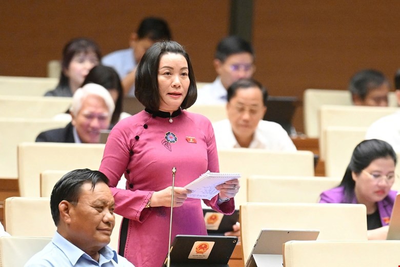 ĐBQH Nguyễn Minh Tâm chất vấn về nhiệm vụ