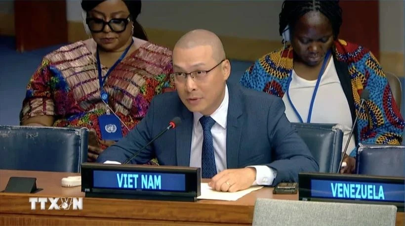 越南常驻联合国代表团副团长阮黄原公使衔参赞出席了会议。图自越通社