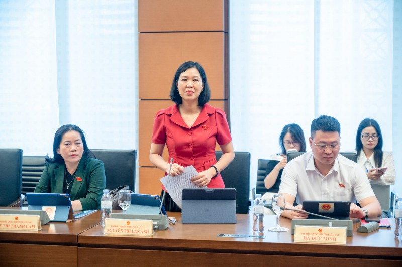 Đại biểu Nguyễn Thị Lan Anh phát biểu tại tổ.