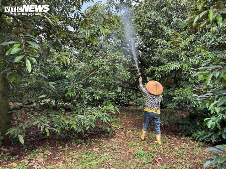 Sượng nước vẫn có thể