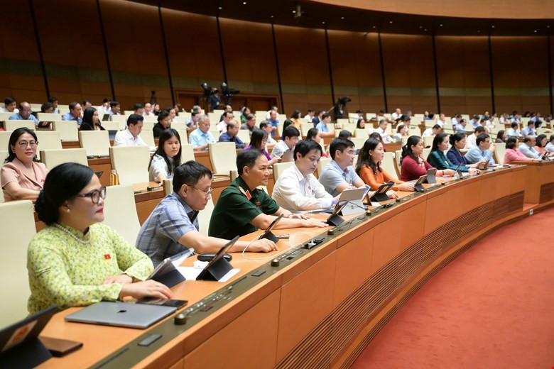 Đại biểu biểu quyết tại hội trường.