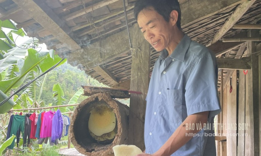 Người dân thôn Kéo Giểng, xã Quang Trung kiểm tra chất lượng đàn ong