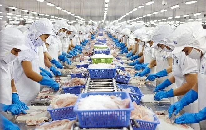 Sản phẩm thủy sản xuất khẩu tiếp tục được kỳ vọng sẽ mở rộng thị trường. (Ảnh: Vietnam+)