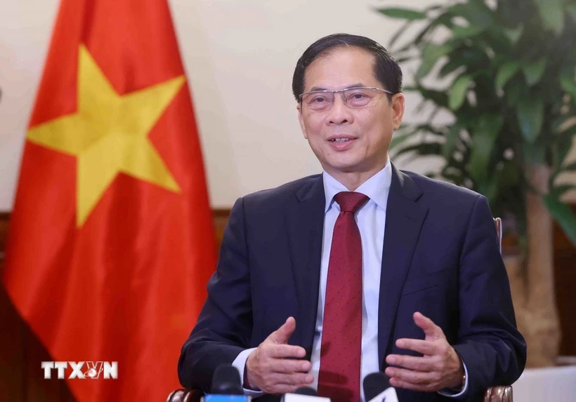Phó Thủ tướng, Bộ trưởng Ngoại giao Bùi Thanh Sơn trả lời phỏng vấn báo chí. (Ảnh: Phạm Kiên/TTXVN)
