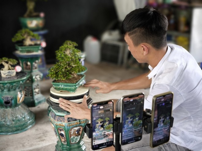 Một người dân ở Bến Tre bán hàng trực tuyến. (Ảnh: Huỳnh Phúc Hậu/TTXVN)