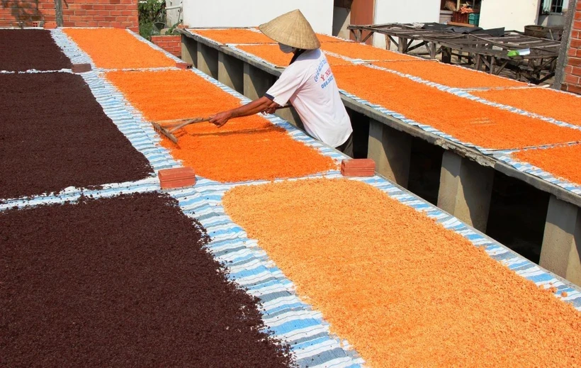 Quy trình sản xuất muối tôm, muối ớt tại một cơ sở ở Tây Ninh. (Ảnh: Lê Đức Hoảnh/TTXVN)