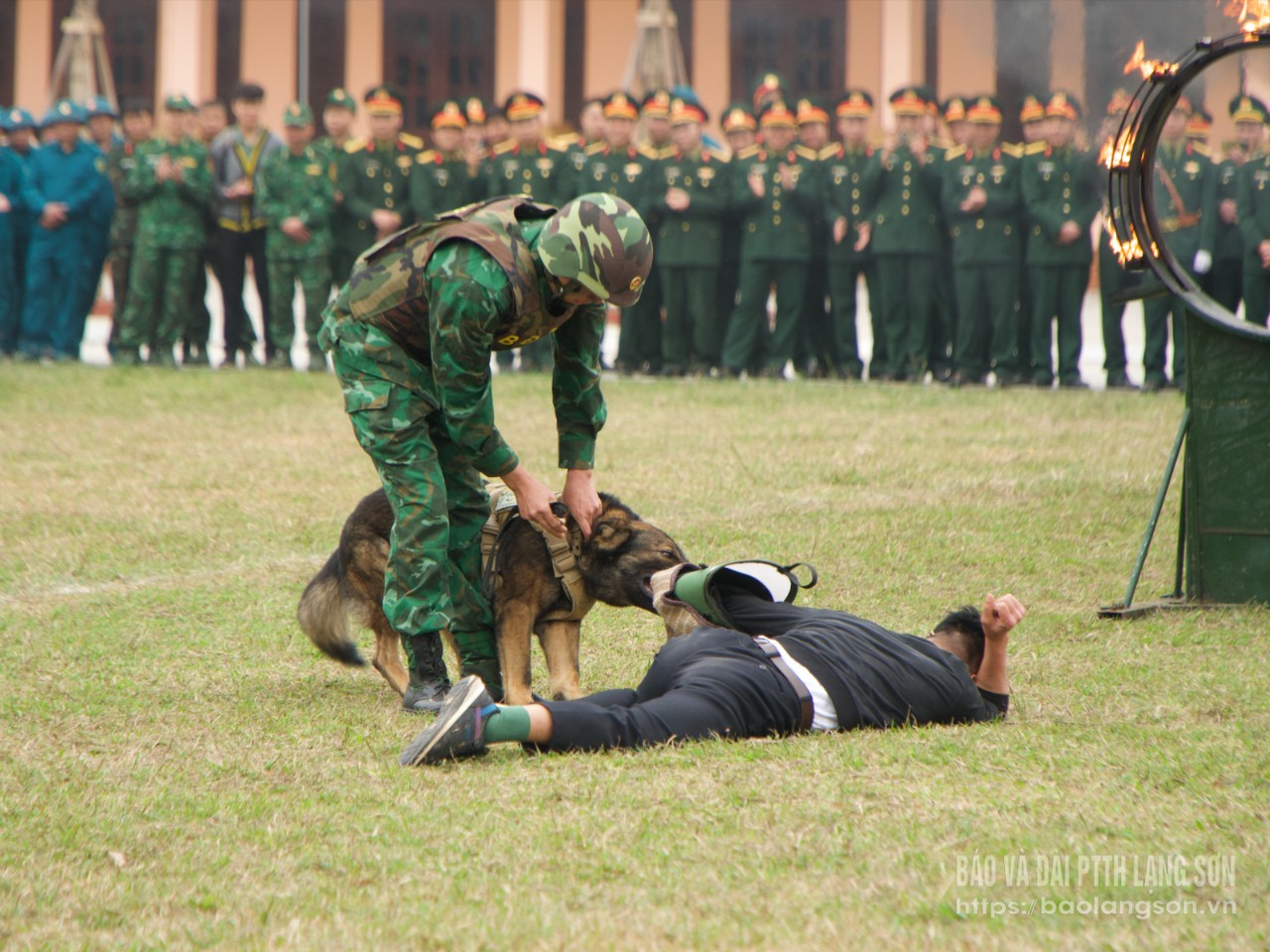 Cán bộ, chiến sĩ Bộ đội Biên phòng tỉnh biểu diễn huấn luyện chó nghiệp vụ tại buổi lễ ra quân huấn luyện 2025