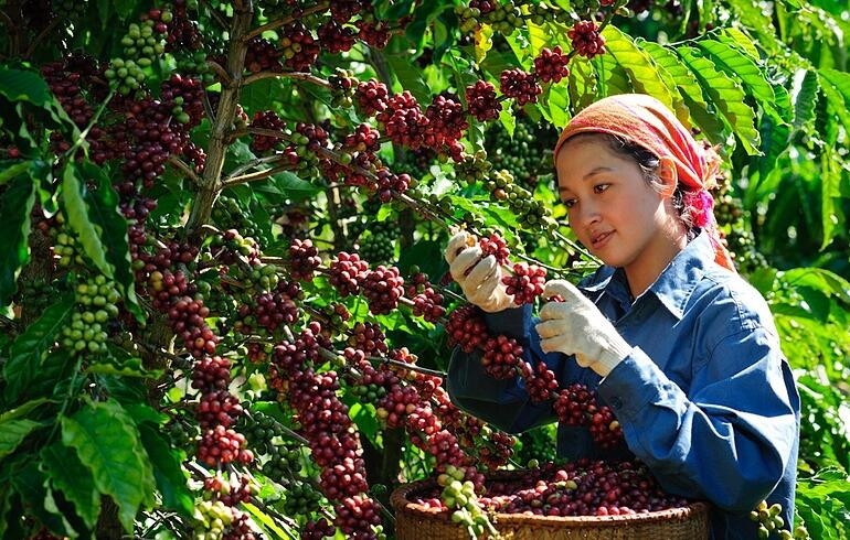 Việc áp dụng và thực hành ESG đã trở thành một yêu cầu tất yếu cho các doanh nghiệp.
