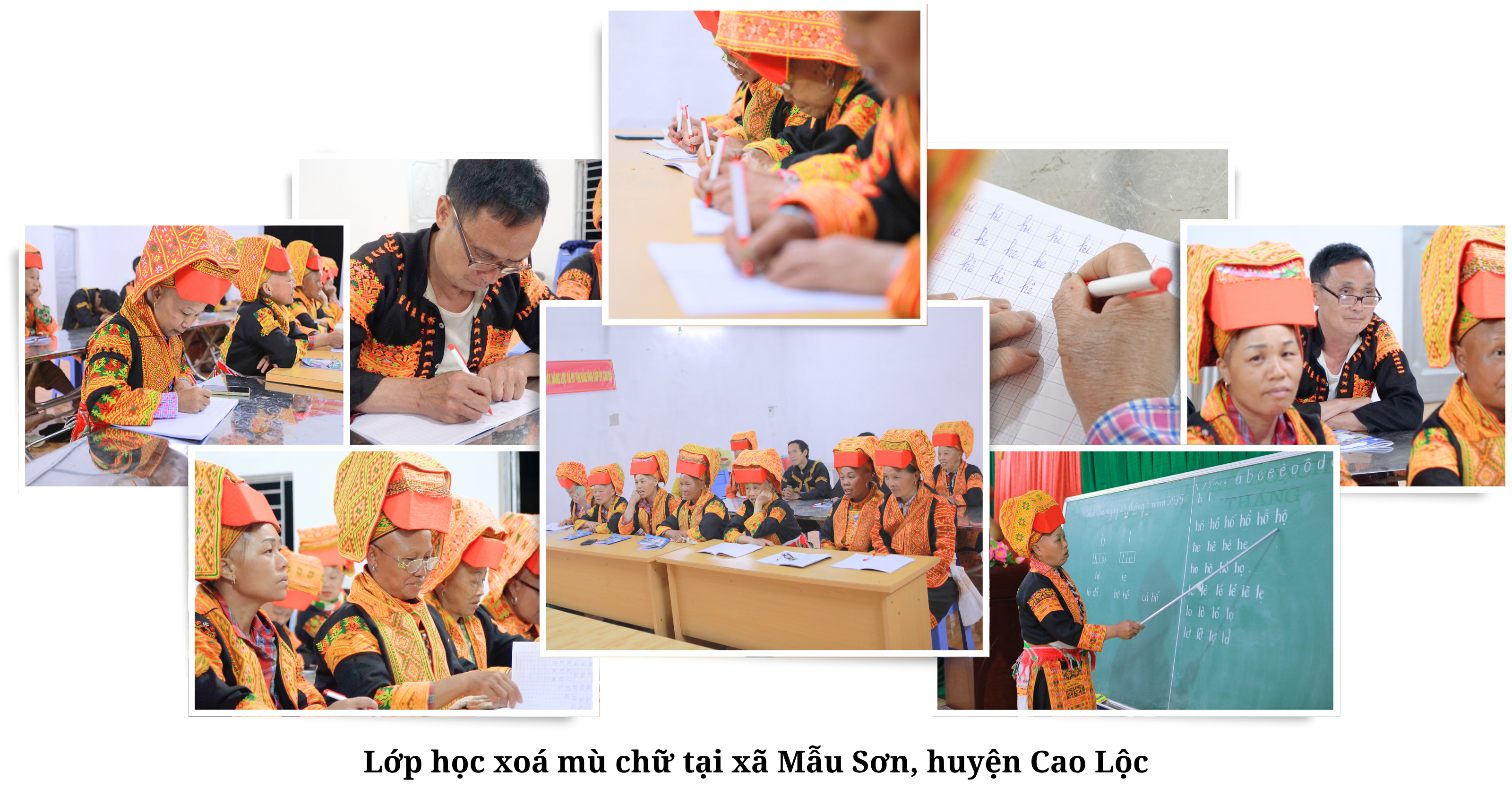 Ảnh co giãn vừa văn bản