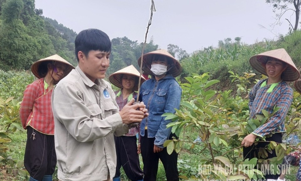 Cao Lộc: Nghệ tinh nông thôn vinh