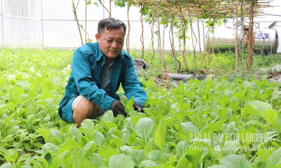Nên nghiệp nhờ sản xuất an toàn