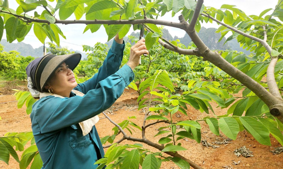 Yên Vượng: Bứt phá giảm nghèo