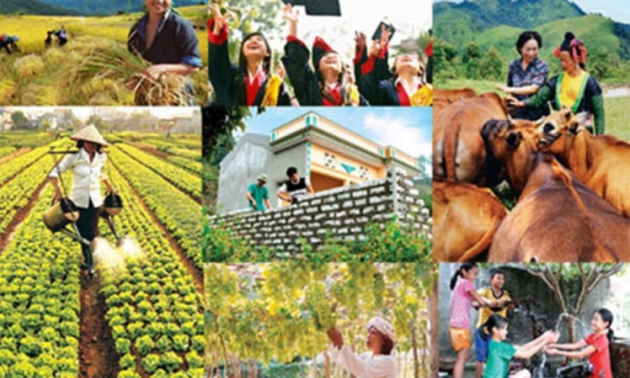 Chỉ đạo, điều hành của Chính phủ, Thủ tướng Chính phủ ngày 03/6/2025 (1)