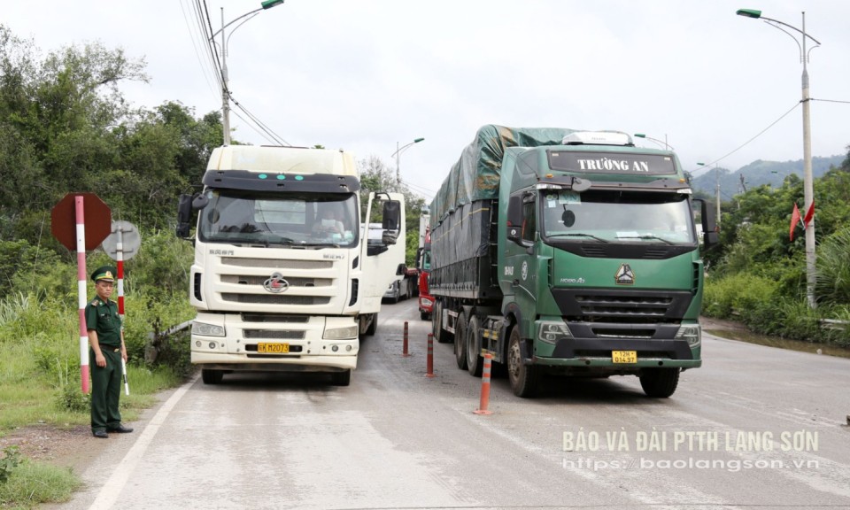 Tạo thuận lợi tối đa cho vải thiều xuất khẩu