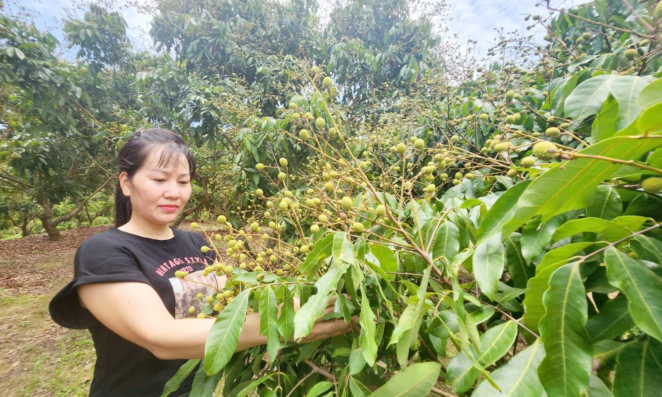 Giàu lên từ nhãn