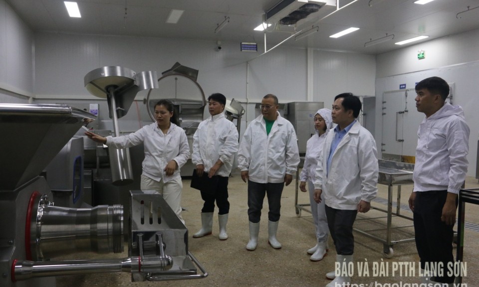 Kiểm tra an toàn thực phẩm lĩnh vực nông nghiệp tại huyện Cao Lộc