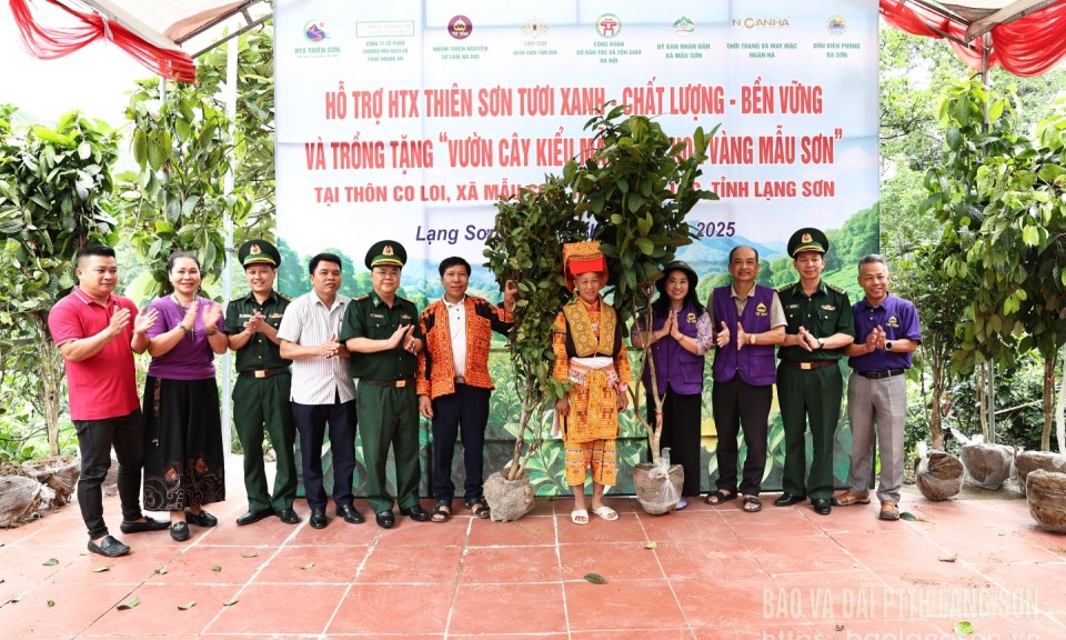 Trồng tặng vườn cây kiểu mẫu trà hoa vàng Mẫu Sơn