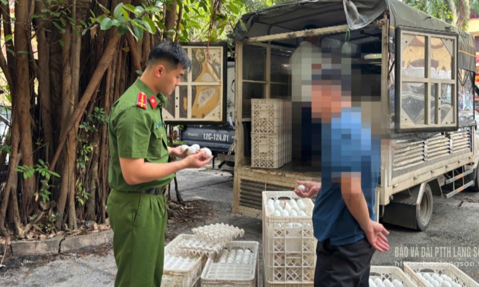 Phát hiện, thu giữ 24.000 quả trứng gia cầm không rõ nguồn gốc