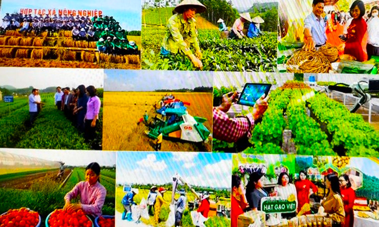Chỉ đạo, điều hành của Chính phủ, Thủ tướng Chính phủ ngày 6/6/2025