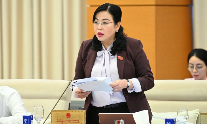 'Đại biểu chuyên trách chỉ nên tập trung làm đại biểu'