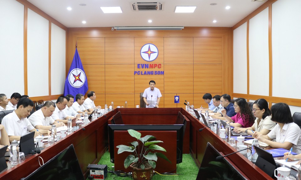 Kiểm tra công tác chuẩn bị và tổ chức đại hội tại Đảng bộ Công ty Điện lực Lạng Sơn
