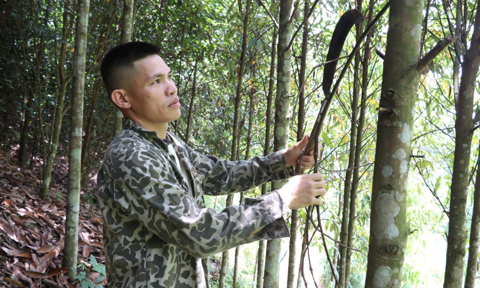 Đổi thay ở Thiện Hoà