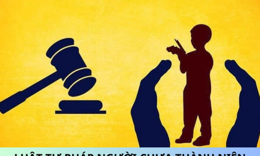 Triển khai thi hành Luật Tư pháp người chưa thành niên
