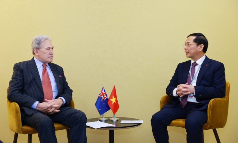 Phó Thủ tướng, Bộ trưởng Bộ Ngoại giao Bùi Thanh Sơn tiếp Bộ trưởng Ngoại giao New Zealand