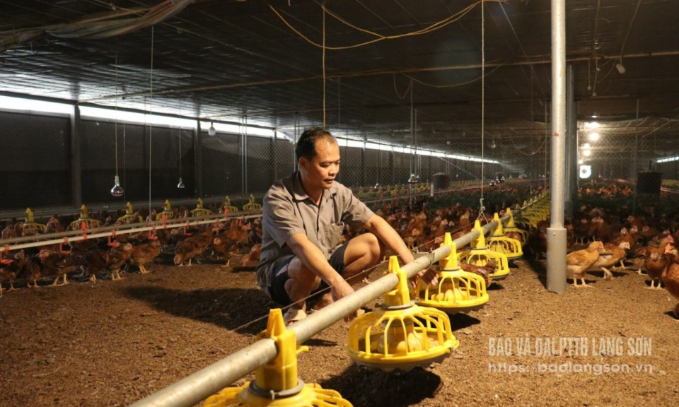 Bắc Sơn: Đa dạng hướng chăn nuôi