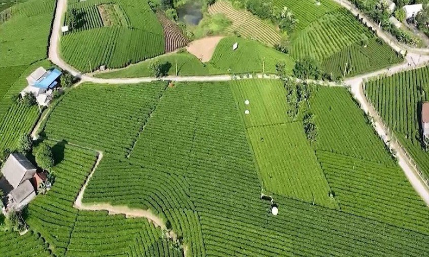 4 huyện về đích nông thôn mới