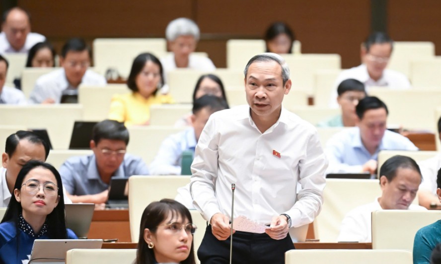 Cần hỗ trợ hộ kinh doanh khai thuế cho đến khi họ làm được thay vì sẽ phạt