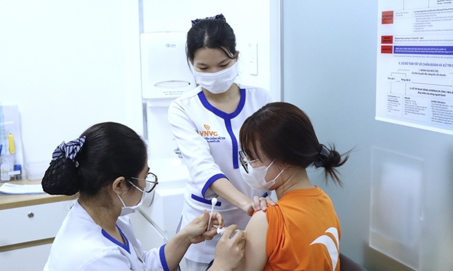 Nhiều trẻ bị chó cắn nghiêm trọng dịp hè