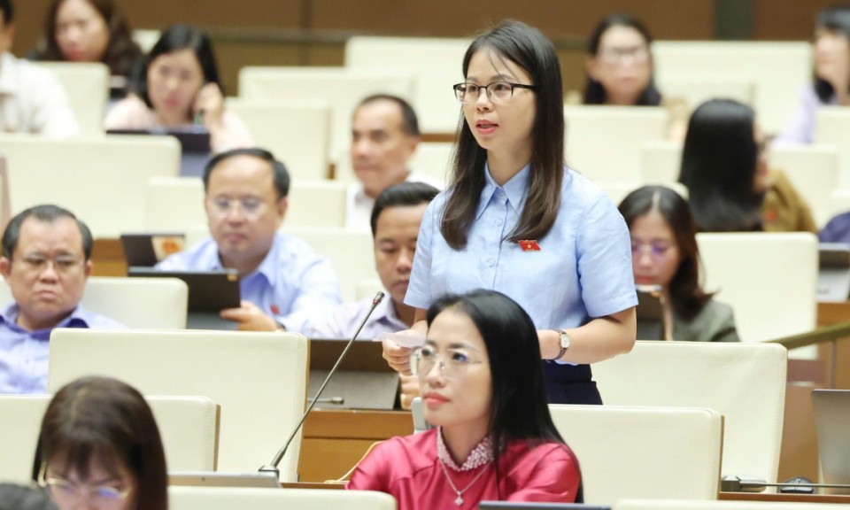 Đại biểu Quốc hội tỉnh chất vấn Bộ trưởng Bộ Tài chính và Bộ trưởng Bộ Giáo dục và Đào tạo
