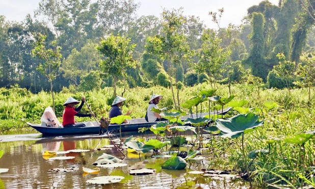Du lịch Đồng bằng sông Cửu Long: Tạo điểm nhấn từ văn hóa, cảnh quan