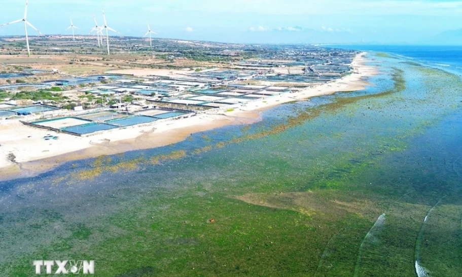 Việt Nam có vị thế tốt để phát triển nhà máy điện hạt nhân đầu tiên