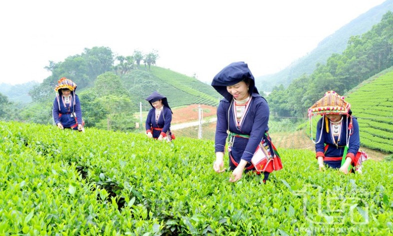Khẩn trương sửa đổi tiêu chí phân bổ vốn Chương trình MTQG phát triển KT-XH vùng dân tộc thiểu số, miền núi
