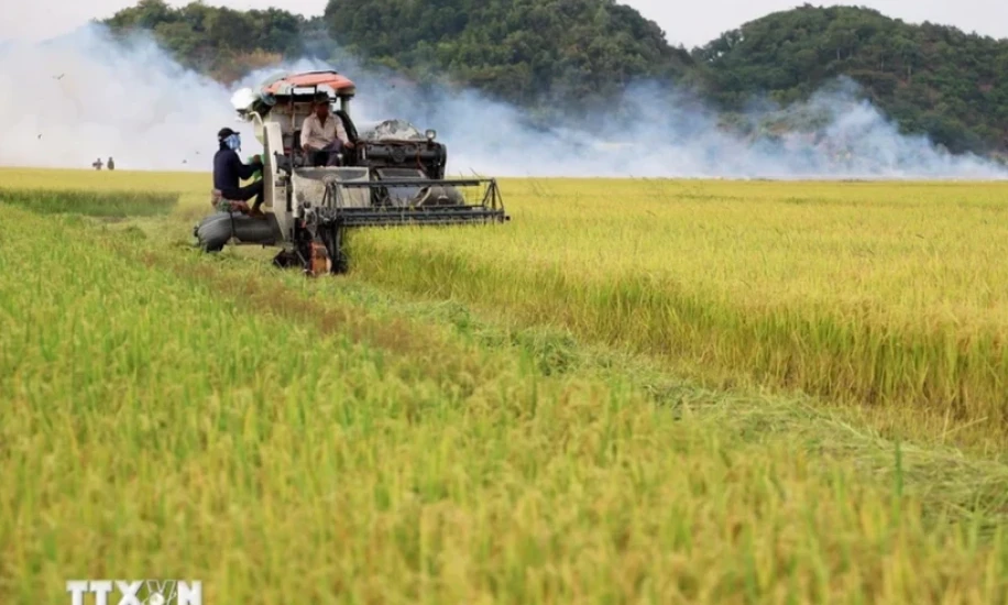 UNDP đồng hành cùng Việt Nam xây dựng hệ thống lương thực, thực phẩm bền vững