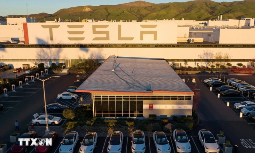 Doanh số bán xe của Tesla tại châu Âu giảm dù thị trường xe điện phục hồi